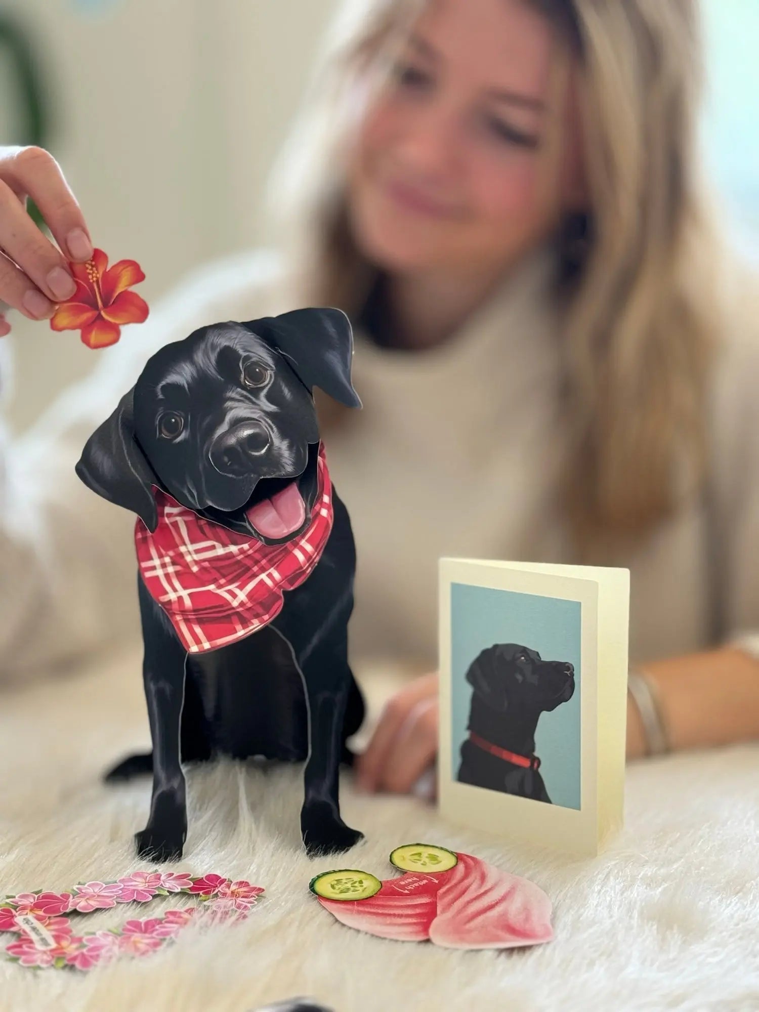 Black Lab Pop-Up Pup - Raymond's Hallmark