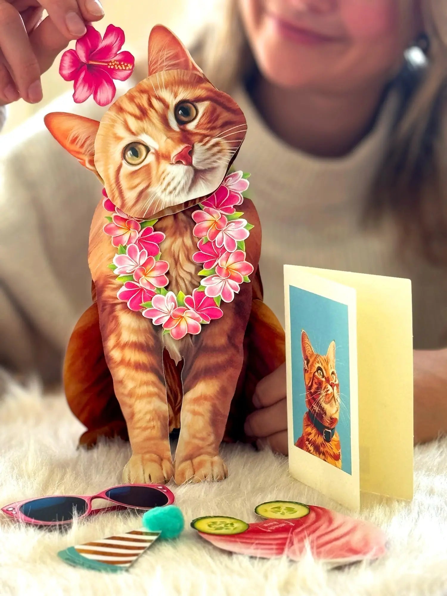 Orange Tabby Pop-Up Cat - Raymond's Hallmark