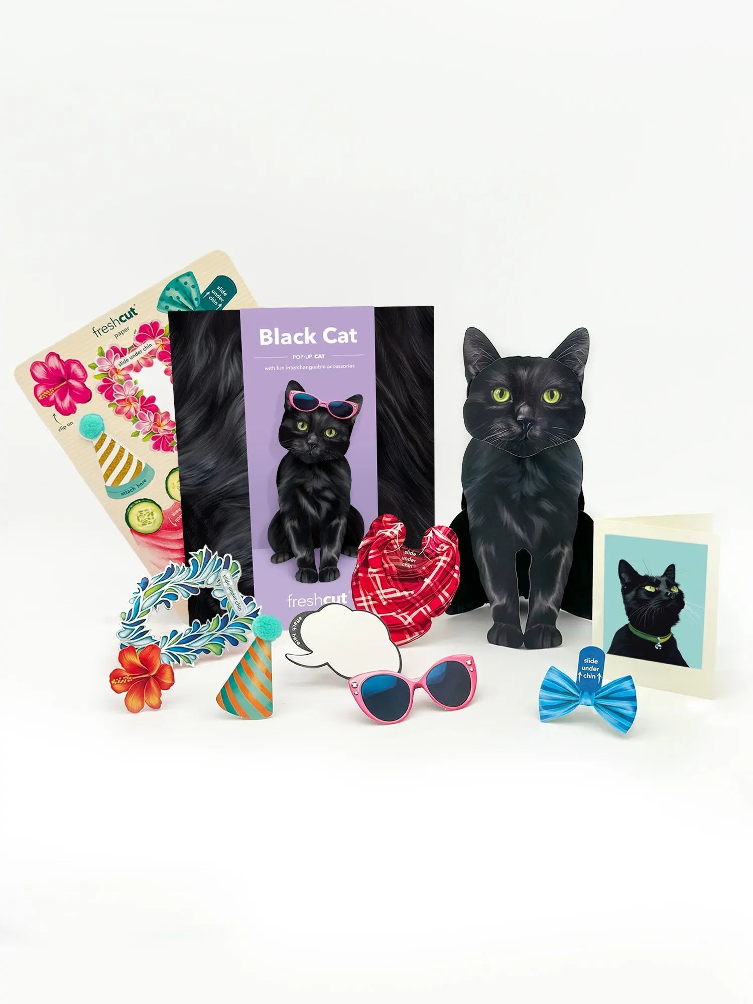 Black Cat Pop-Up Cat - Raymond's Hallmark