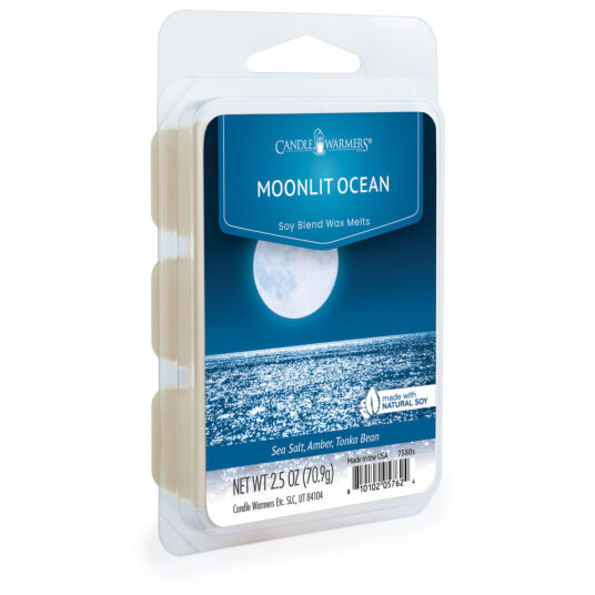 2.5oz Artisan Wax Melt ~Moonlit Ocean