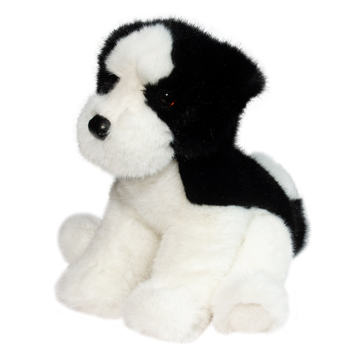 Teefer Shih Tzu - Raymond's Hallmark