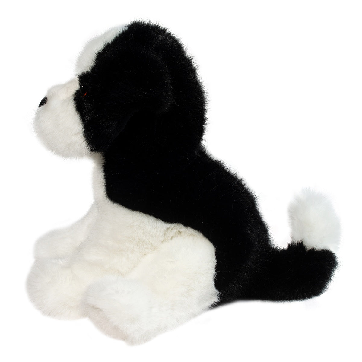 Teefer Shih Tzu - Raymond's Hallmark