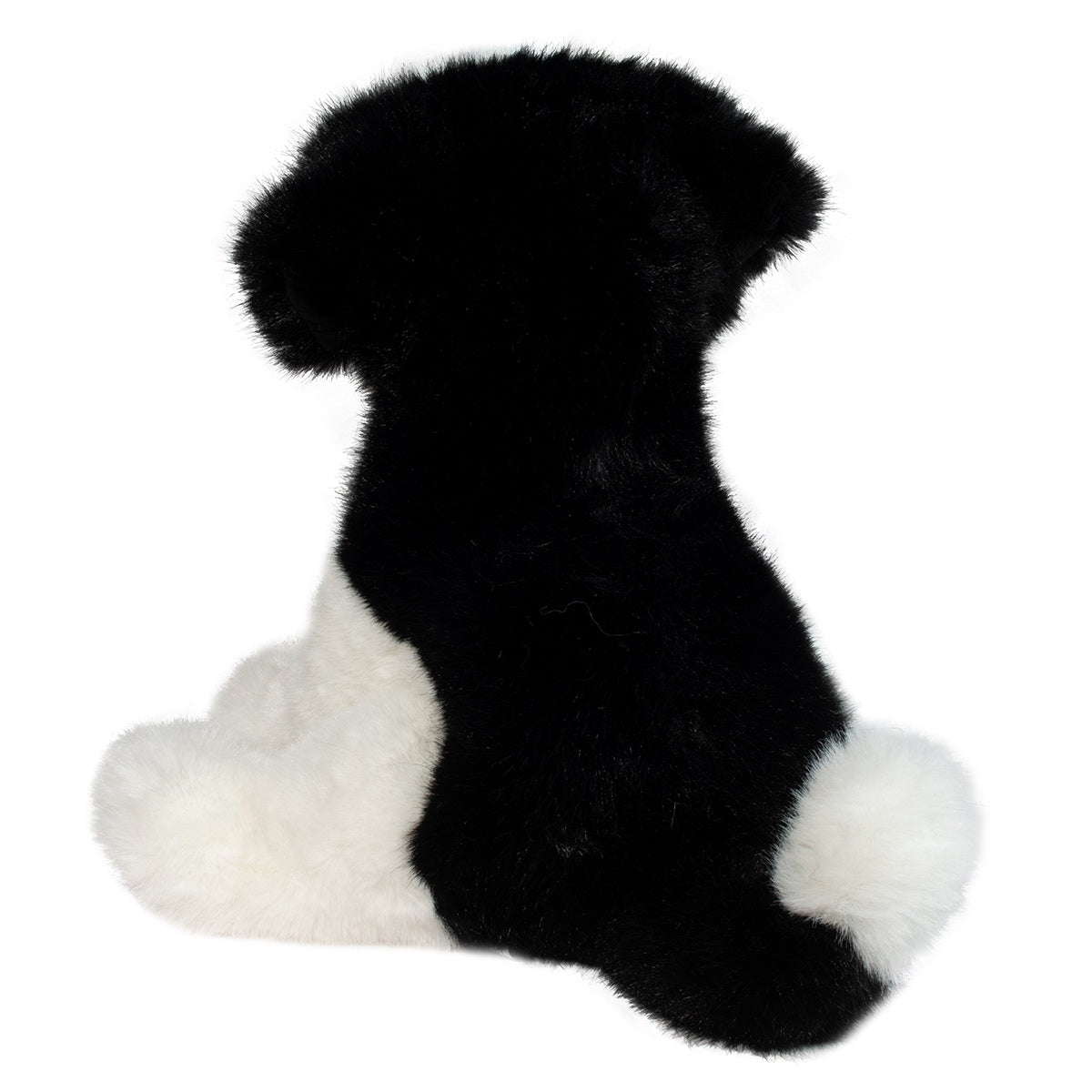 Teefer Shih Tzu - Raymond's Hallmark
