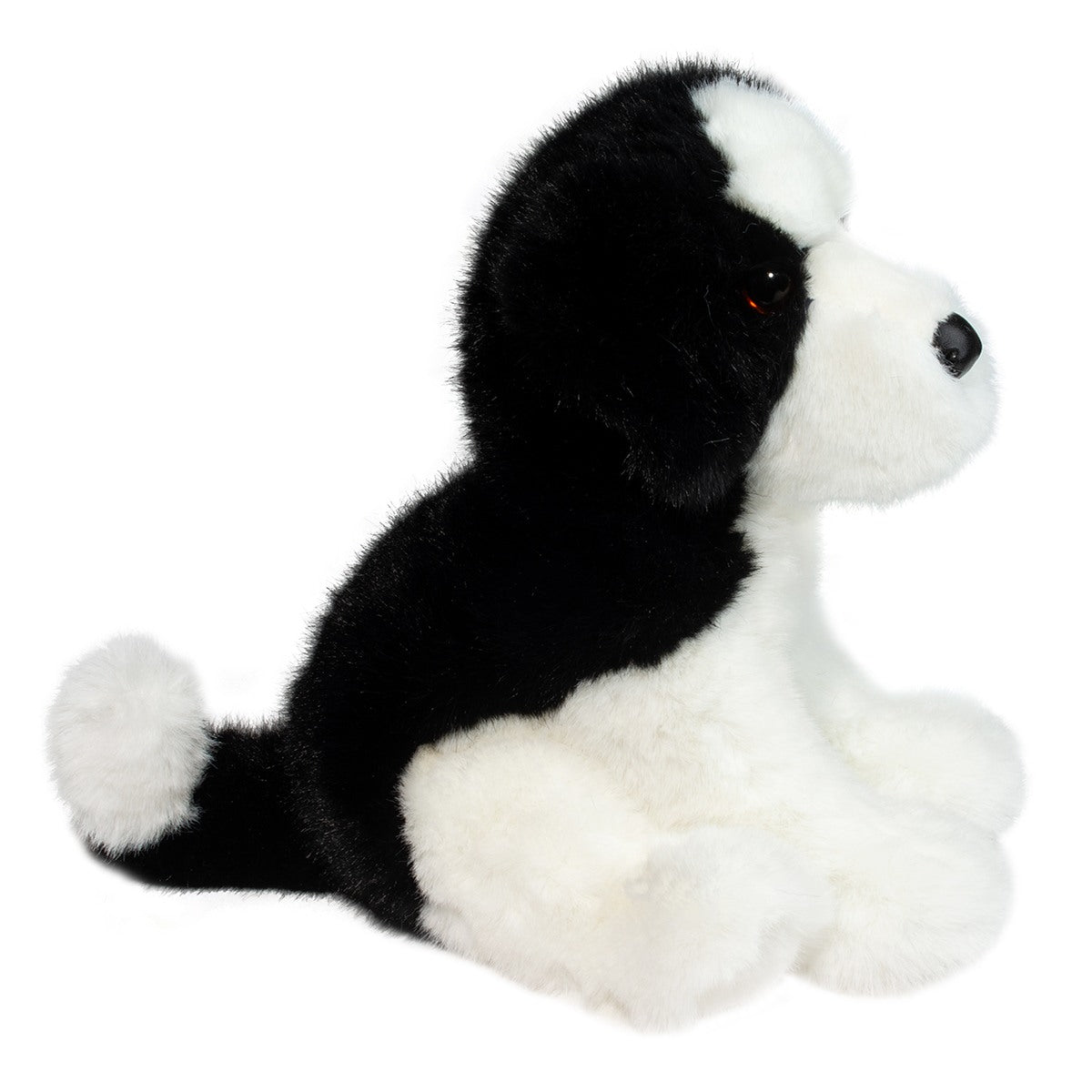 Teefer Shih Tzu - Raymond's Hallmark