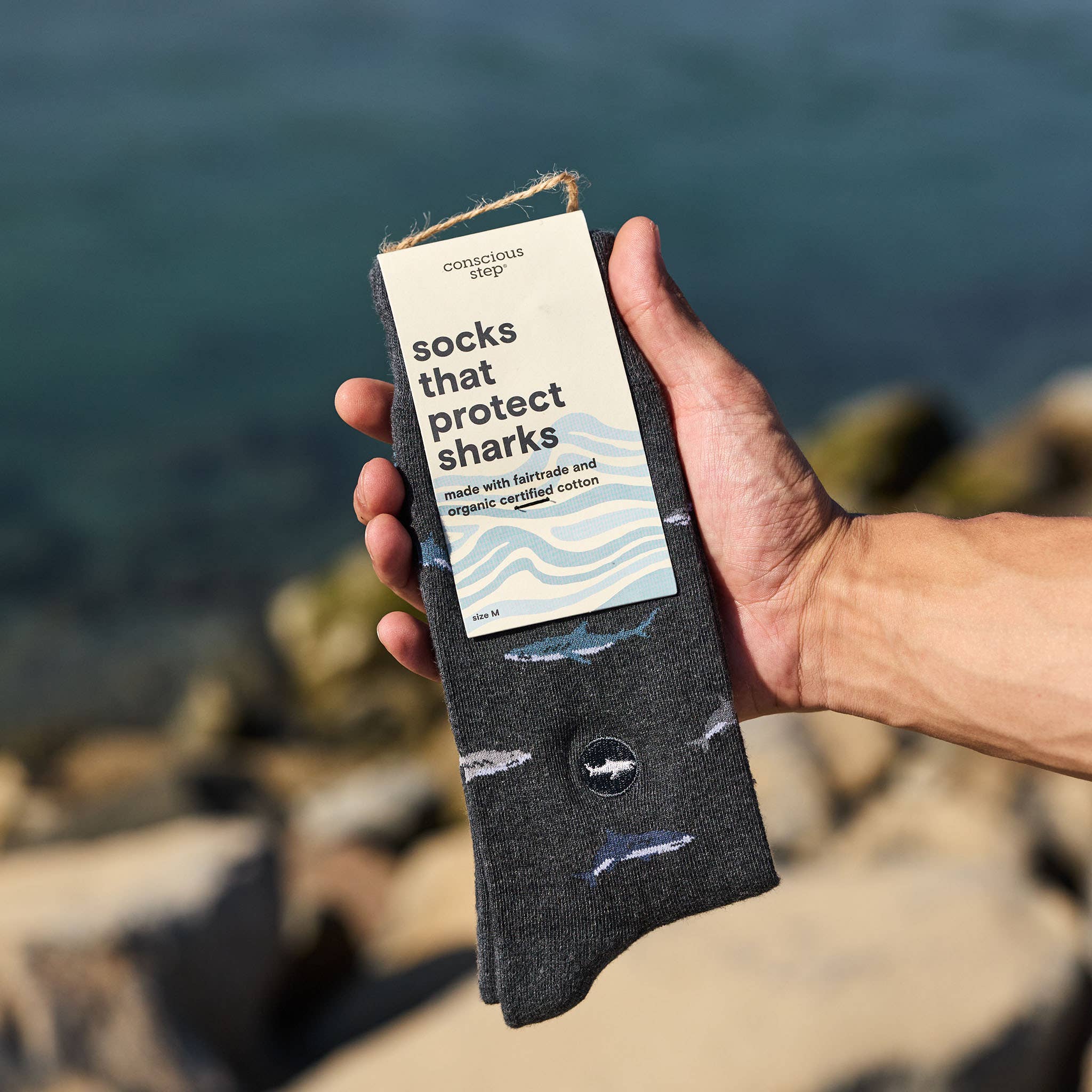 Socks that Protect Sharks (Gray Sharks) - Raymond's Hallmark