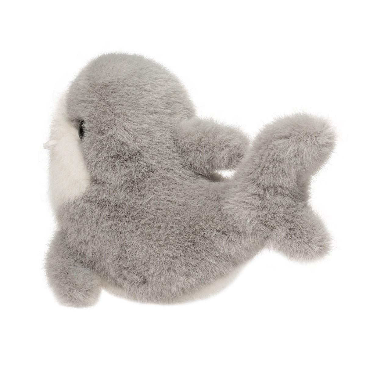 Lil’ Baby Shark - Raymond's Hallmark