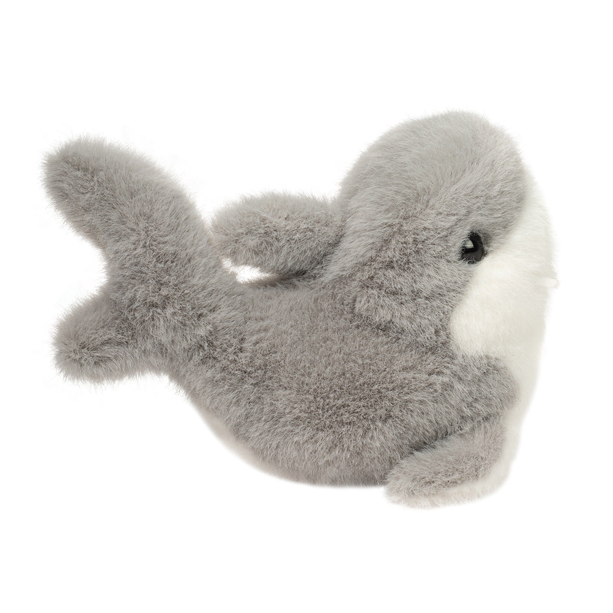 Lil’ Baby Shark - Raymond's Hallmark