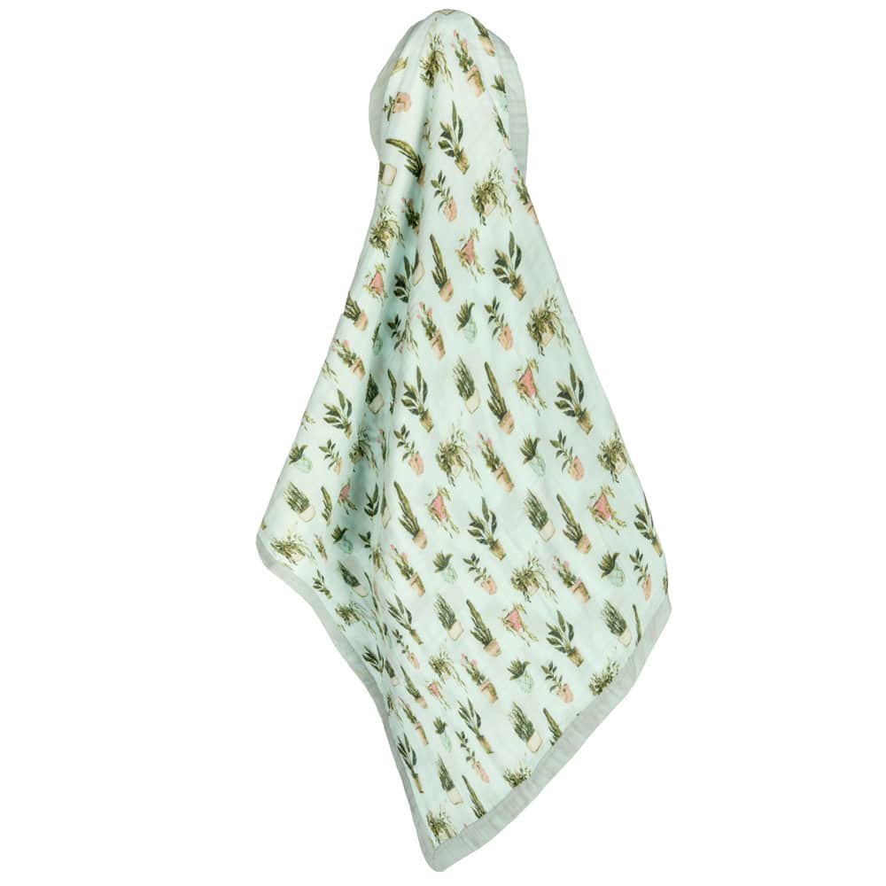 Big Lovey Potted Plants - Raymond's Hallmark