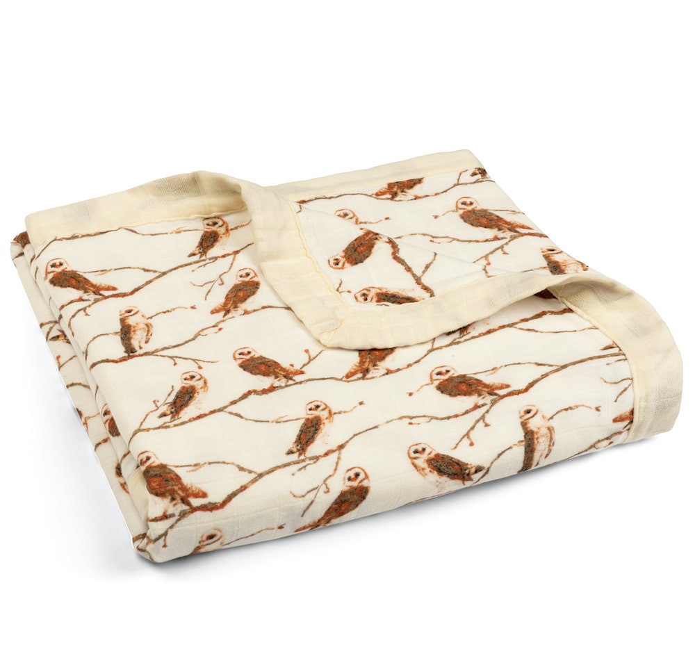 Big Lovey Owl - Raymond's Hallmark