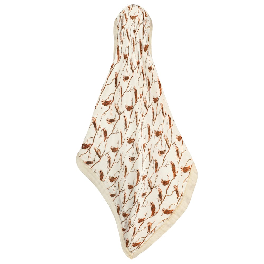 Big Lovey Owl - Raymond's Hallmark