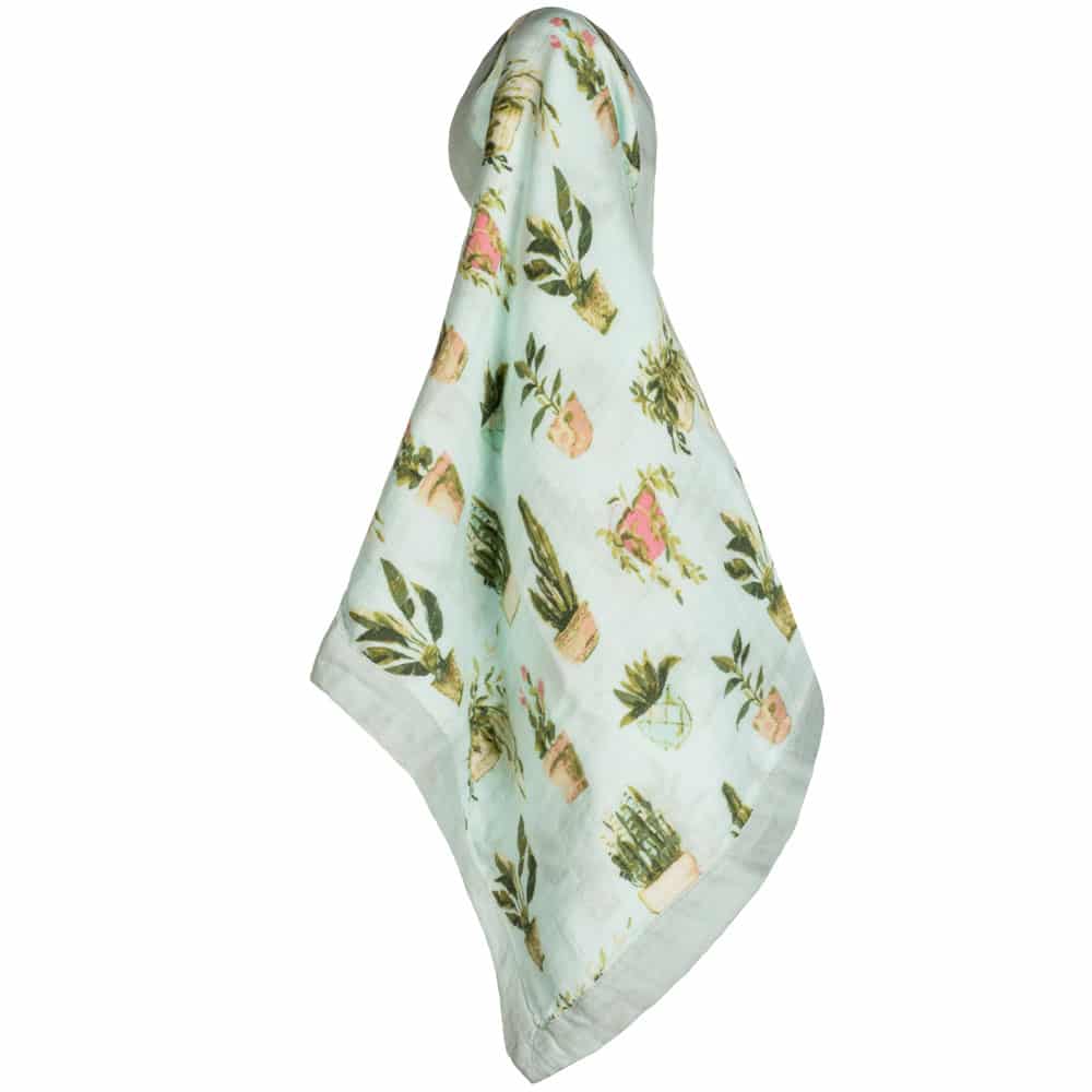 Mini Lovey Potted Plants - Raymond's Hallmark