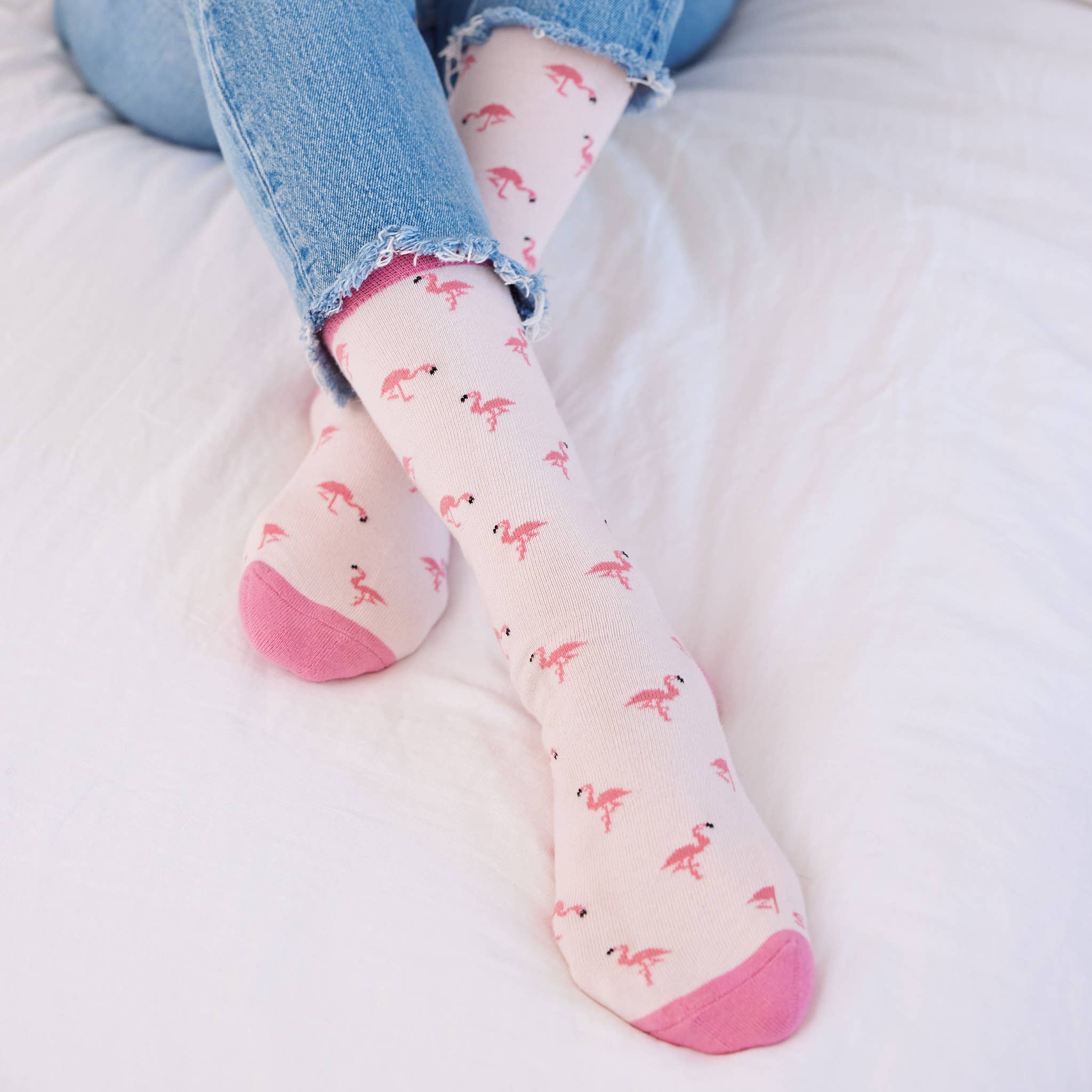 Socks That Protect Flamingos - Raymond's Hallmark