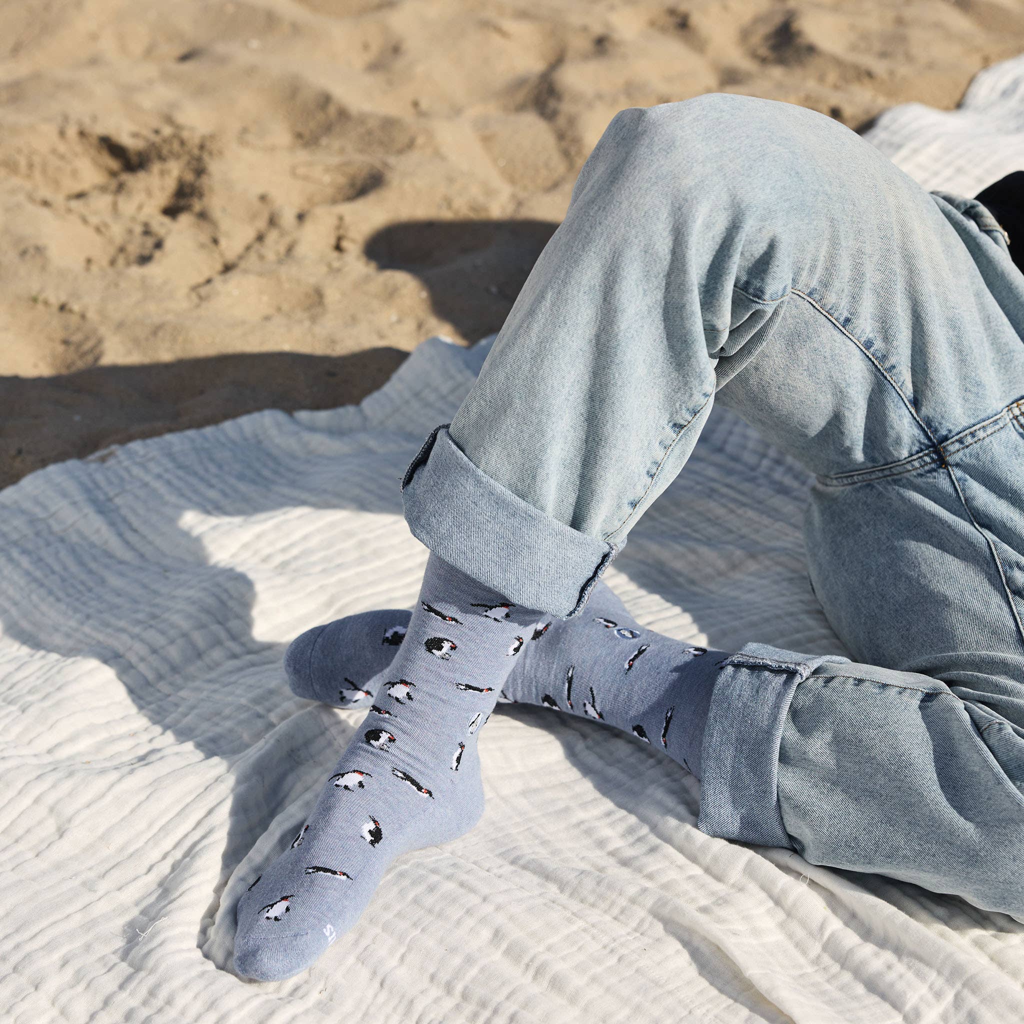 Socks that Protect Penguins (Periwinkle Penguins) - Raymond's Hallmark