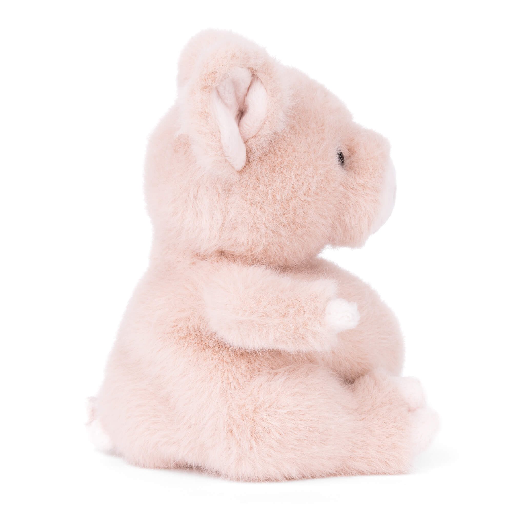 Baby Oink - Raymond's Hallmark