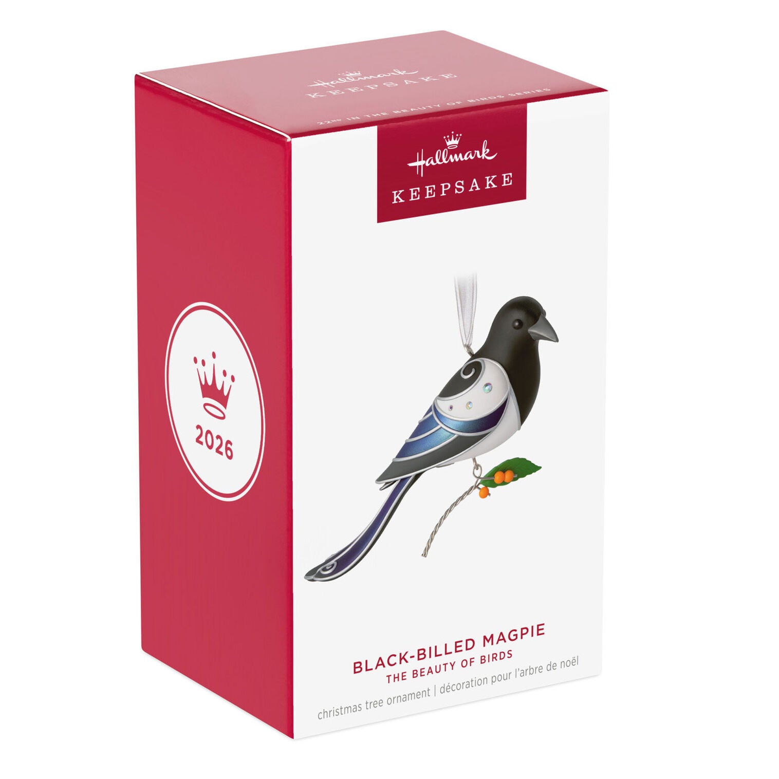 Black-Billed Magpie