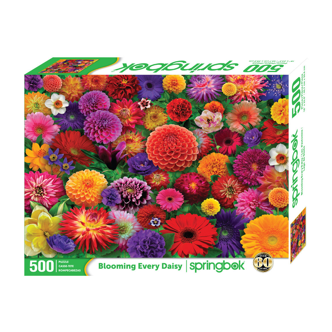 Blooming Every Daisy - 500 - Raymond's Hallmark