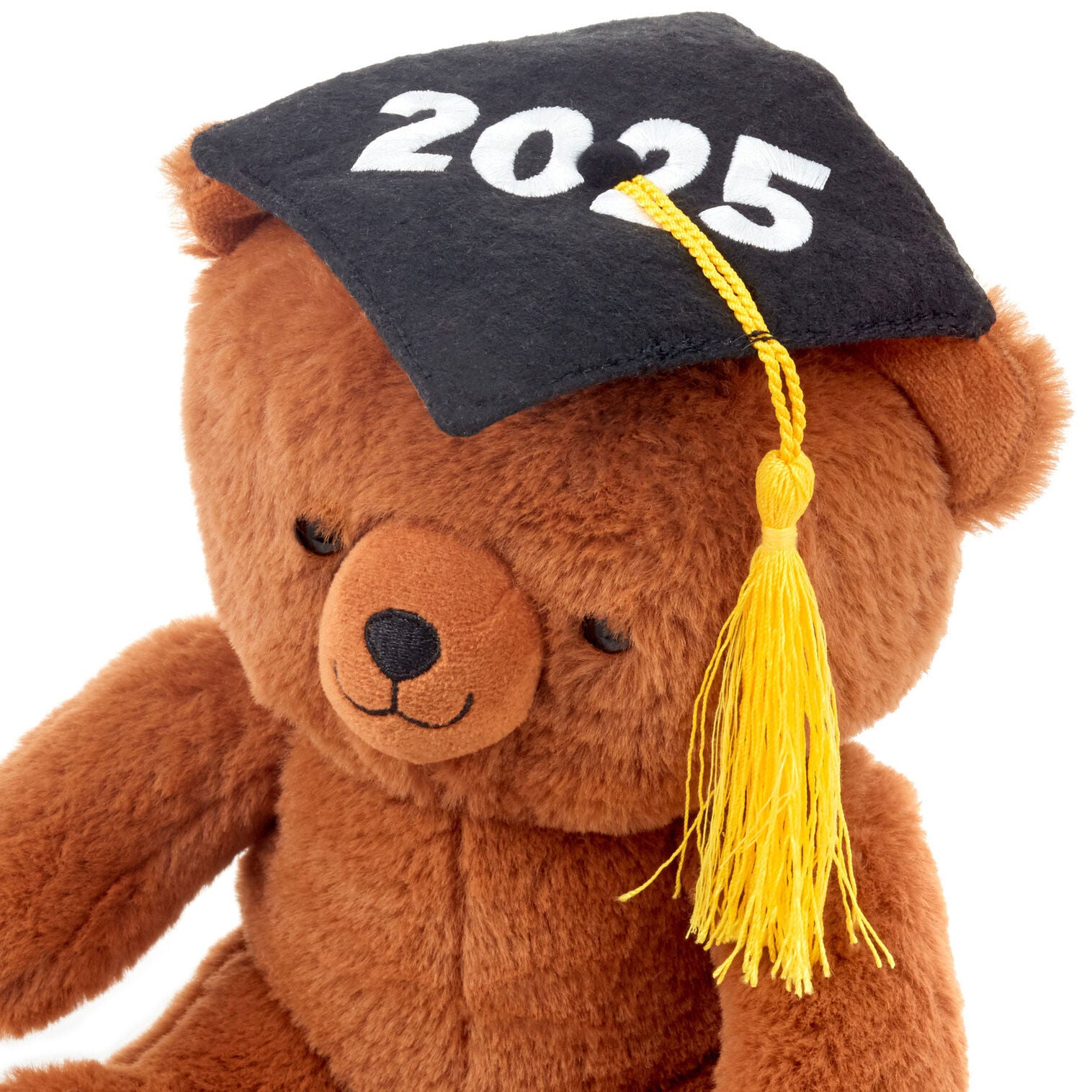 Plush 2025 Graduation Bear - Raymond's Hallmark