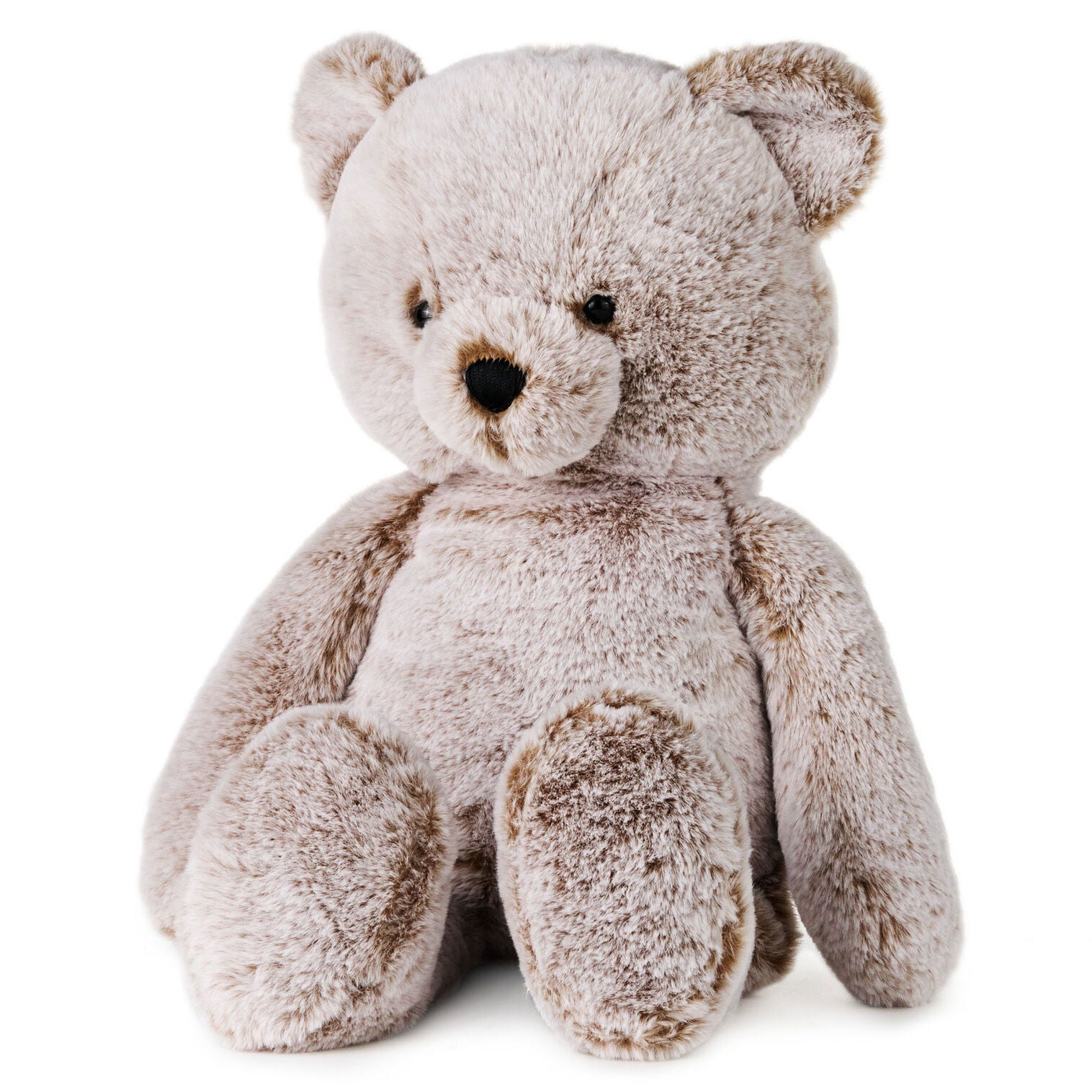 Bear Plush - Raymond's Hallmark