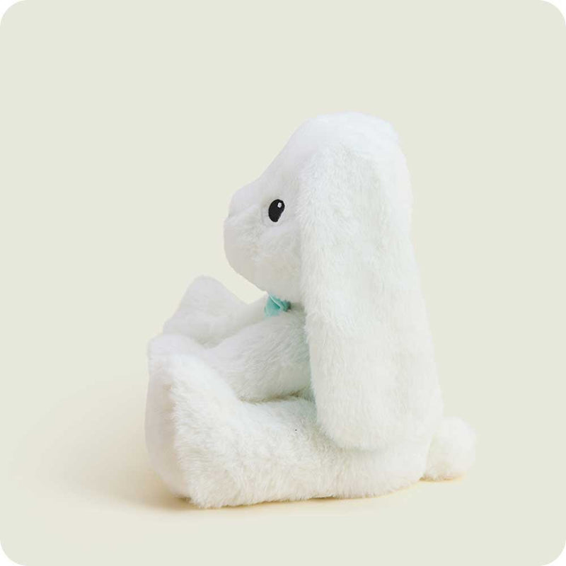 Easter Bunny Warmies - Raymond's Hallmark