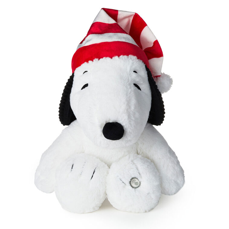 Interactive Book & Snoopy - Raymond's Hallmark