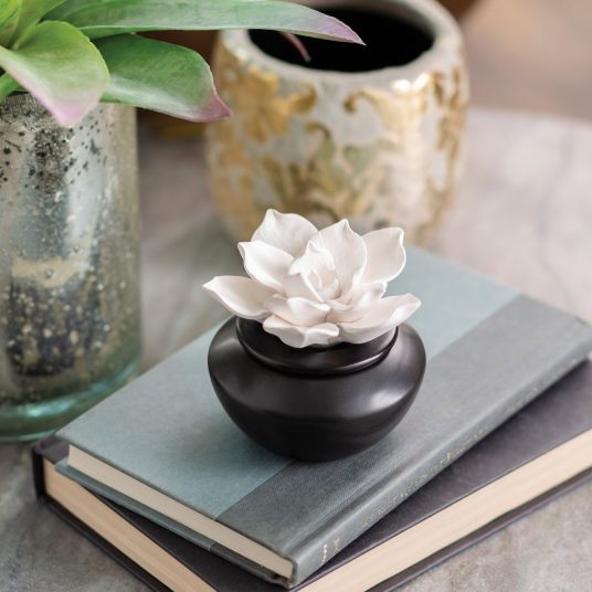 Porcelain Aroma Diffuser Gardenia with Peppermint Oil - Raymond's Hallmark