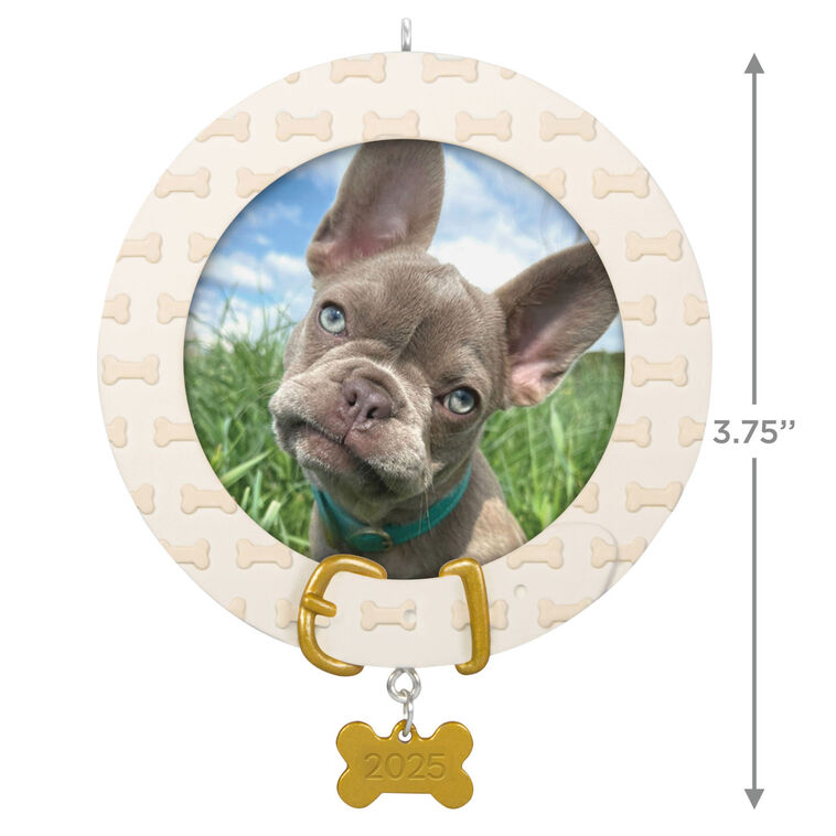 FAITHFUL FRIEND ORNAMENT - Raymond's Hallmark