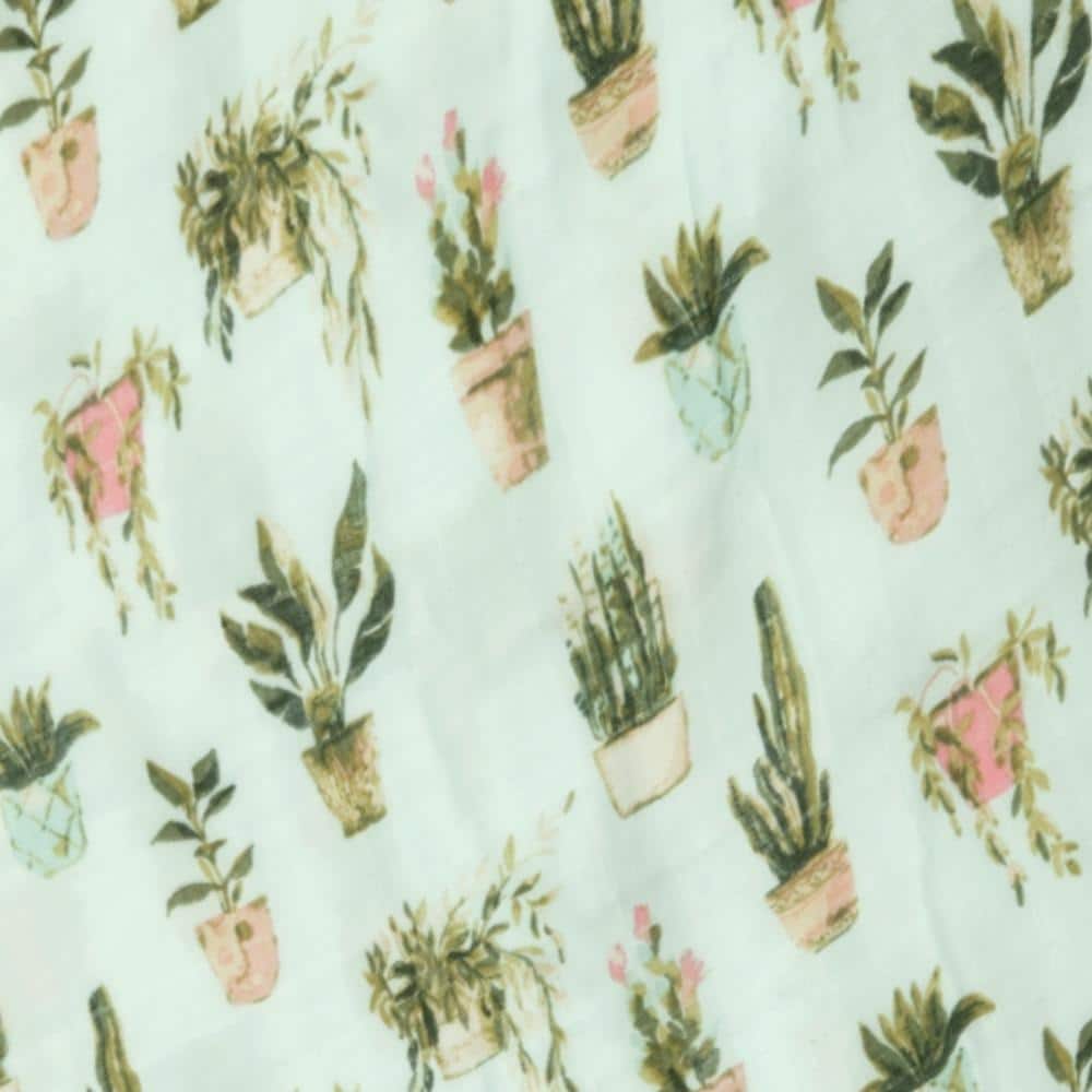 Big Lovey Potted Plants - Raymond's Hallmark