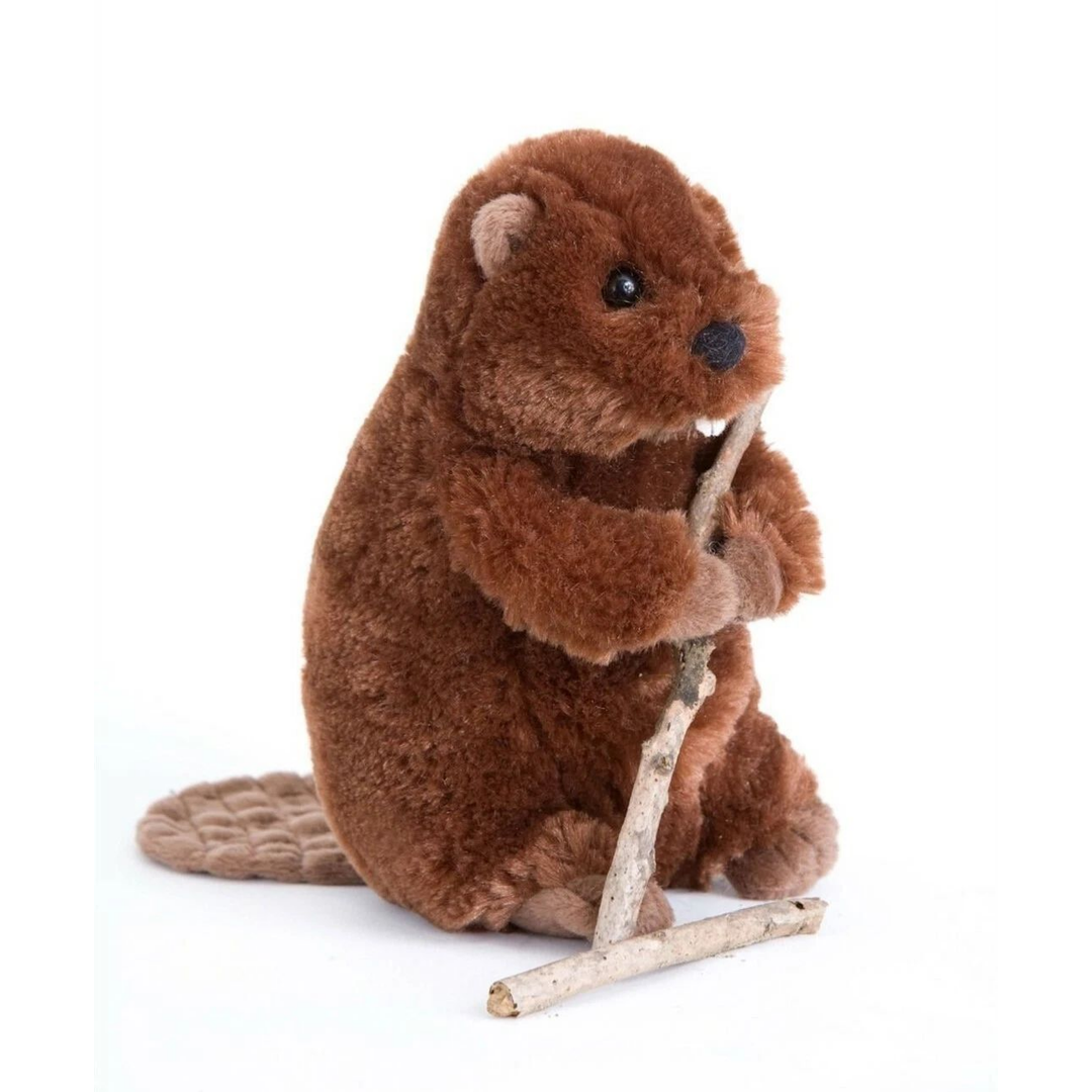 Buddy Beaver - Raymond's Hallmark