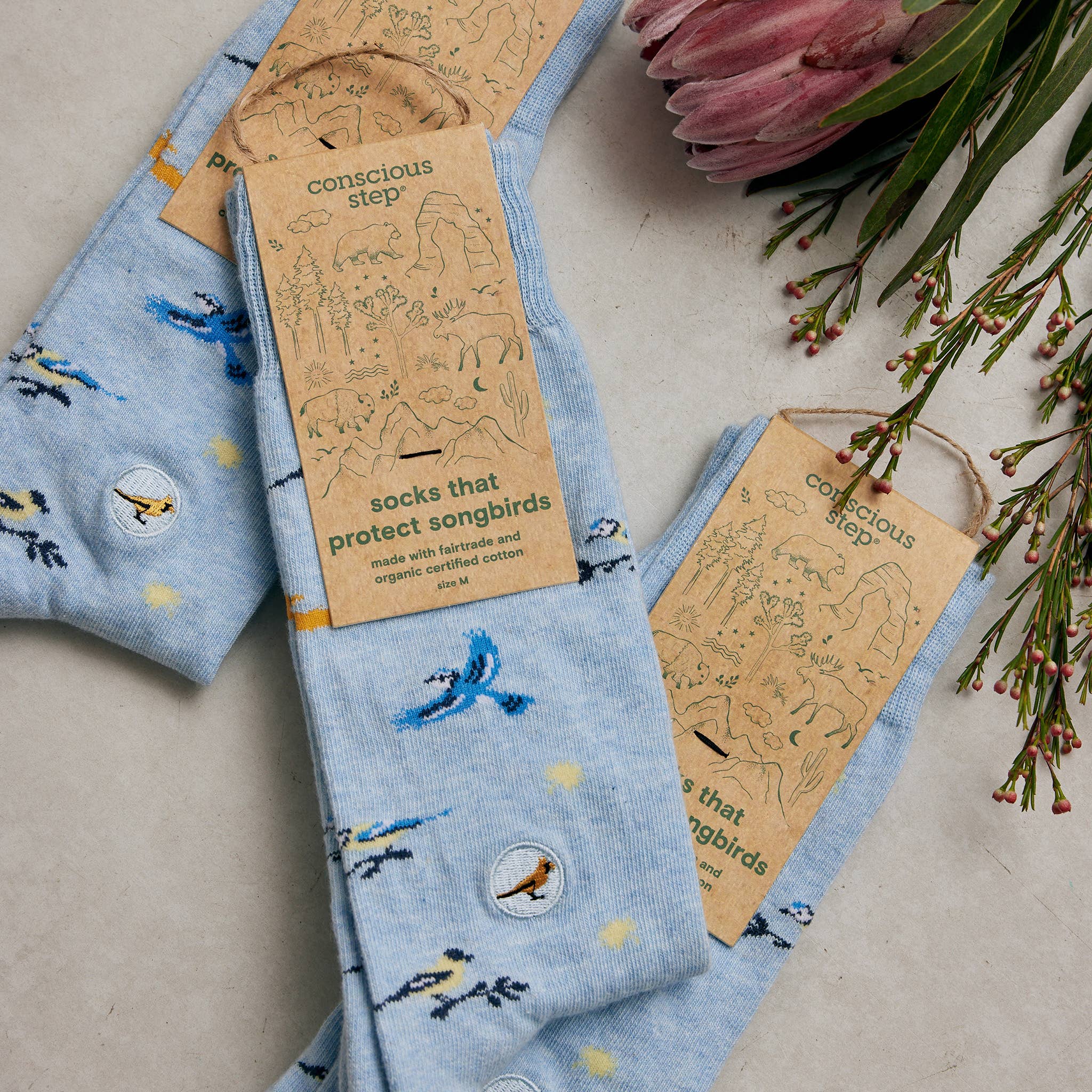 Socks That Protect Songbirds - Raymond's Hallmark