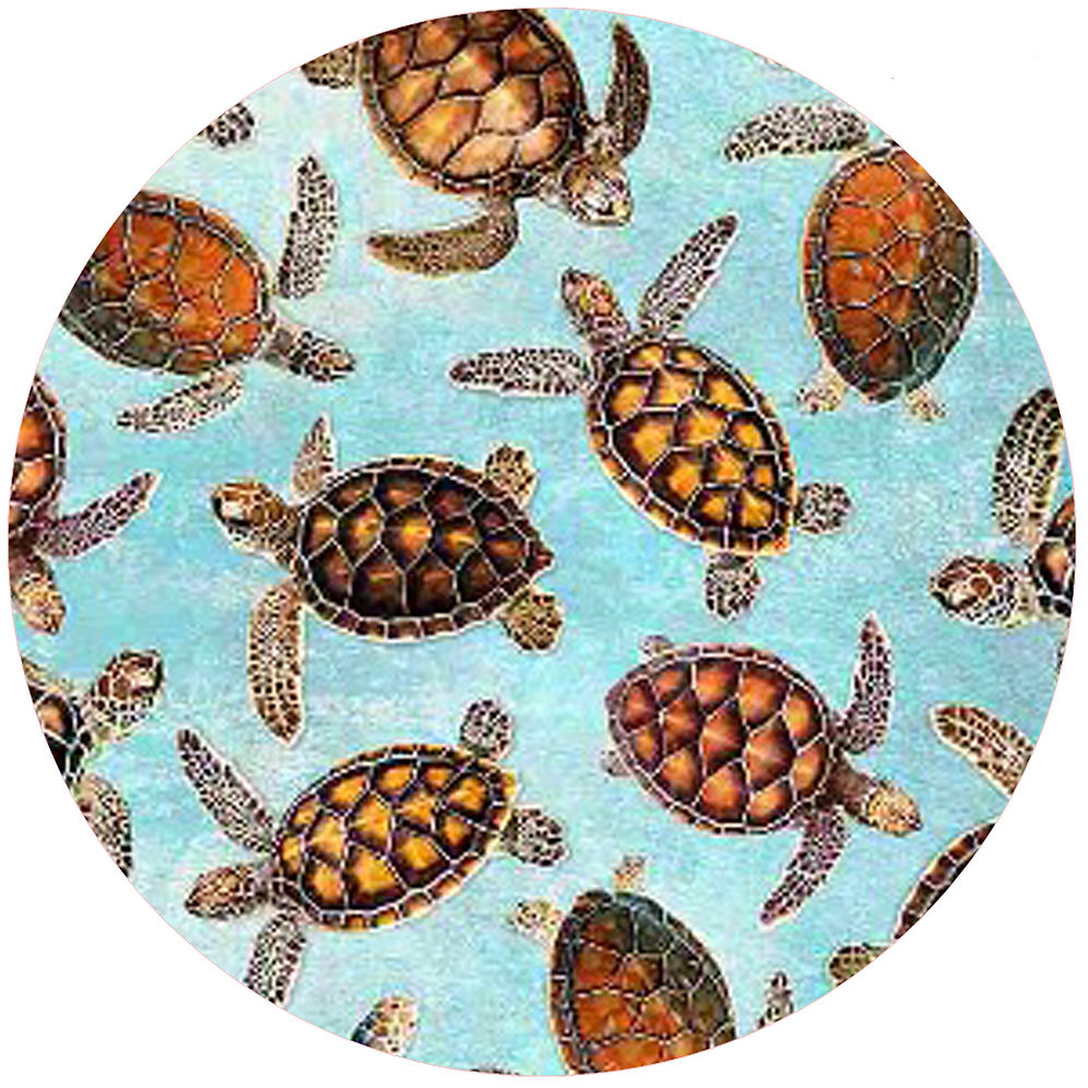 Sea Turtle Jar Opener