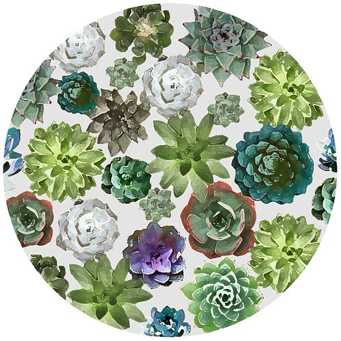 Succulents Jar Opener