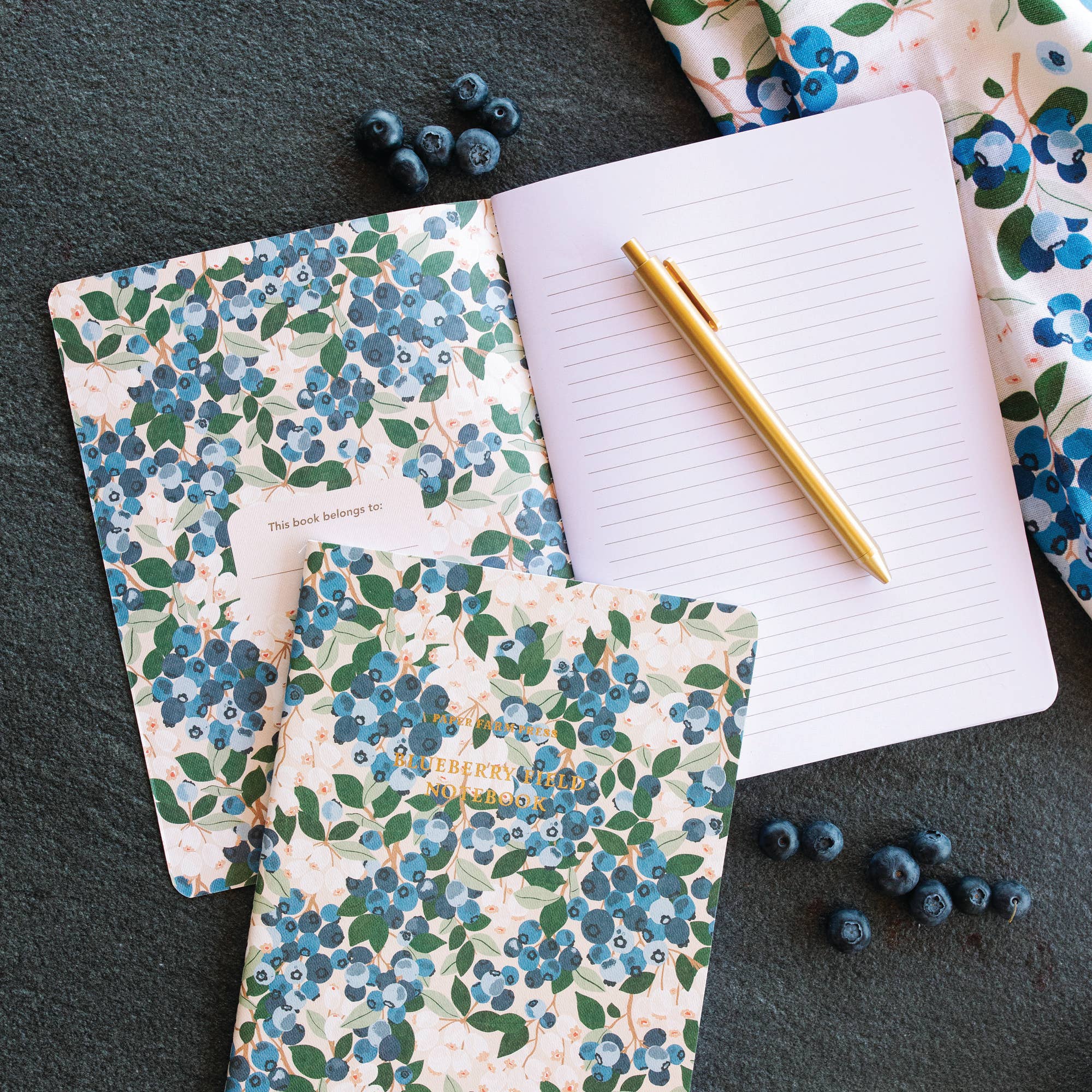 Blueberry Field Stitched Notebook - Raymond's Hallmark