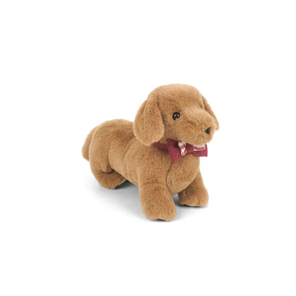 Dapper Dachshund/Brown