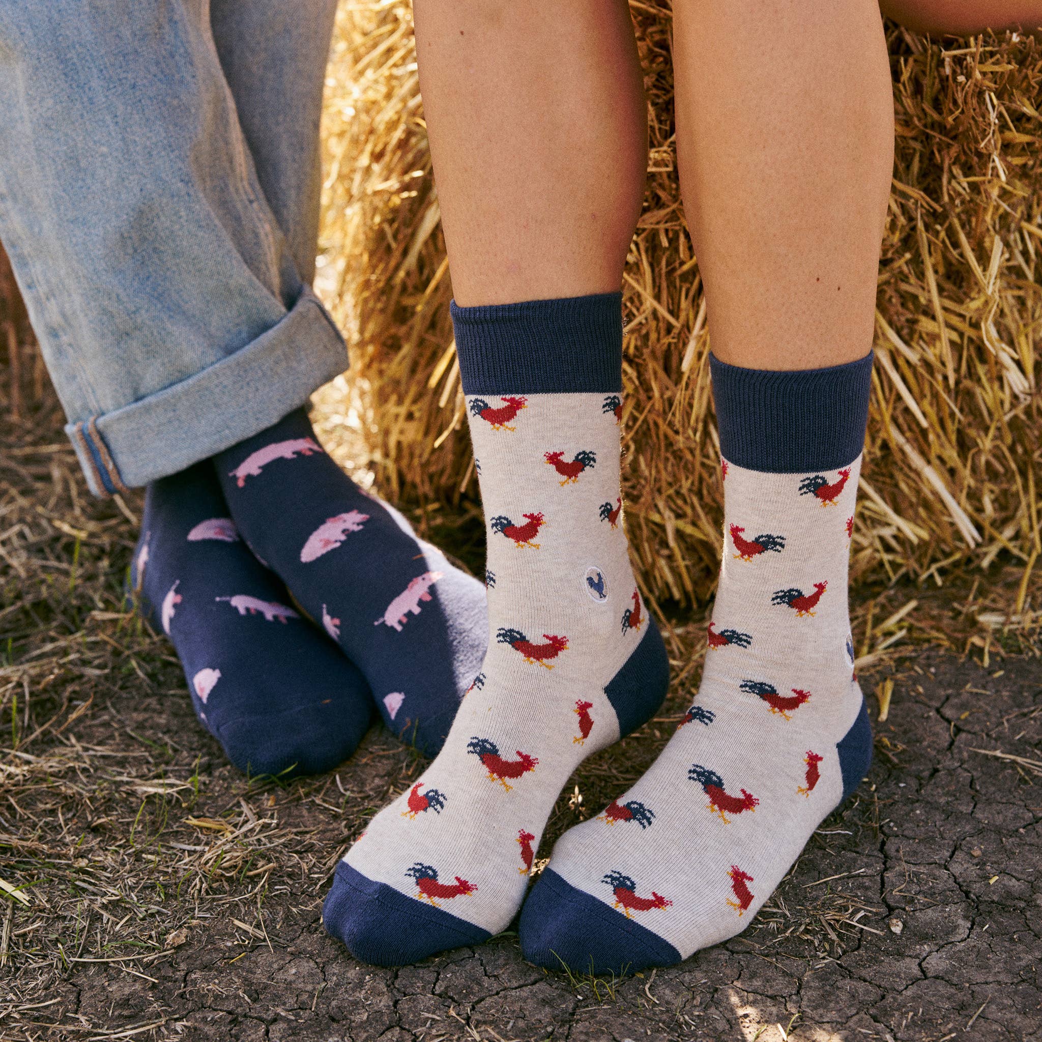 Socks that Save Roosters - Raymond's Hallmark