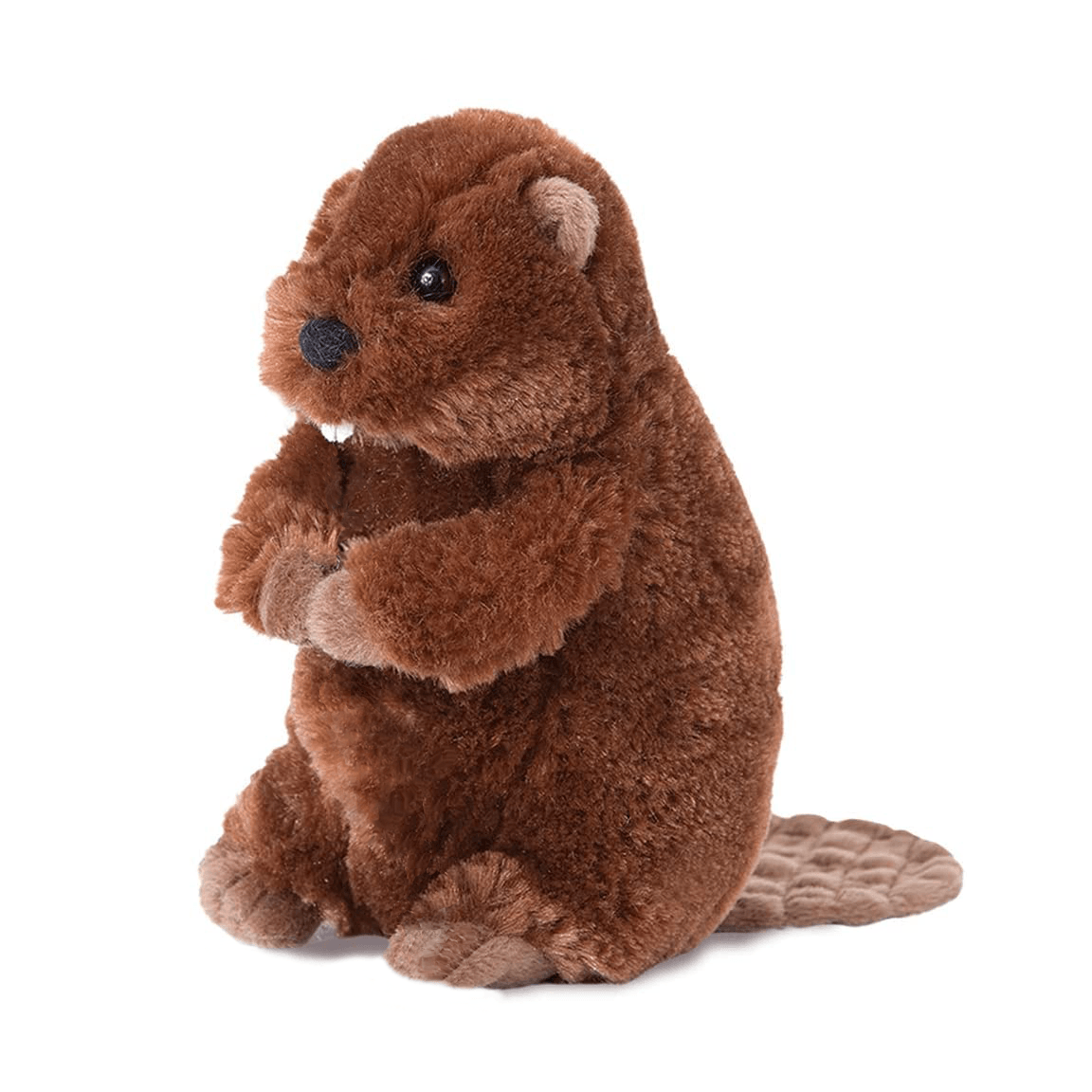 Buddy Beaver - Raymond's Hallmark