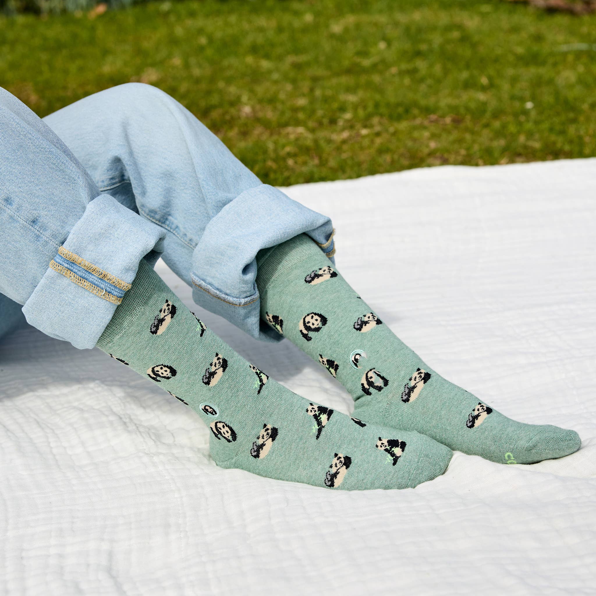 Socks that Protect Pandas - Raymond's Hallmark