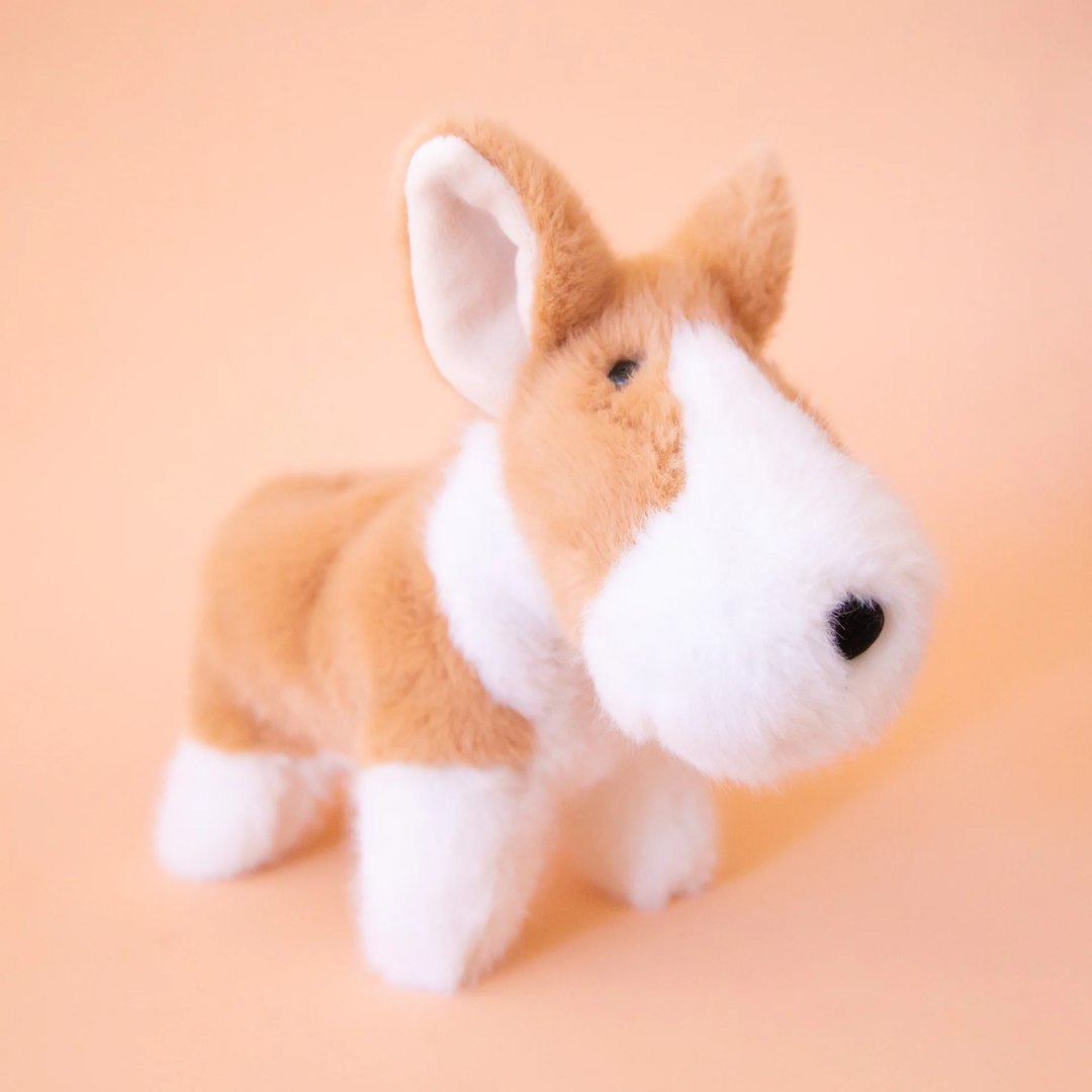 Carl Corgi Muzzle Lg - Raymond's Hallmark