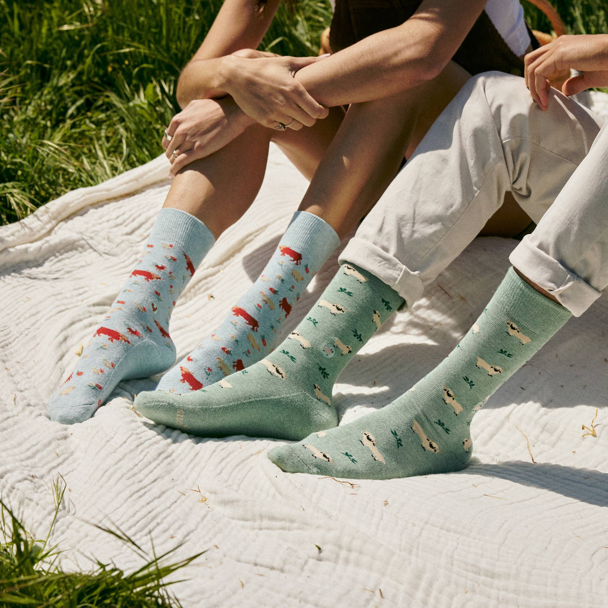 Socks that Save Sheep - Raymond's Hallmark