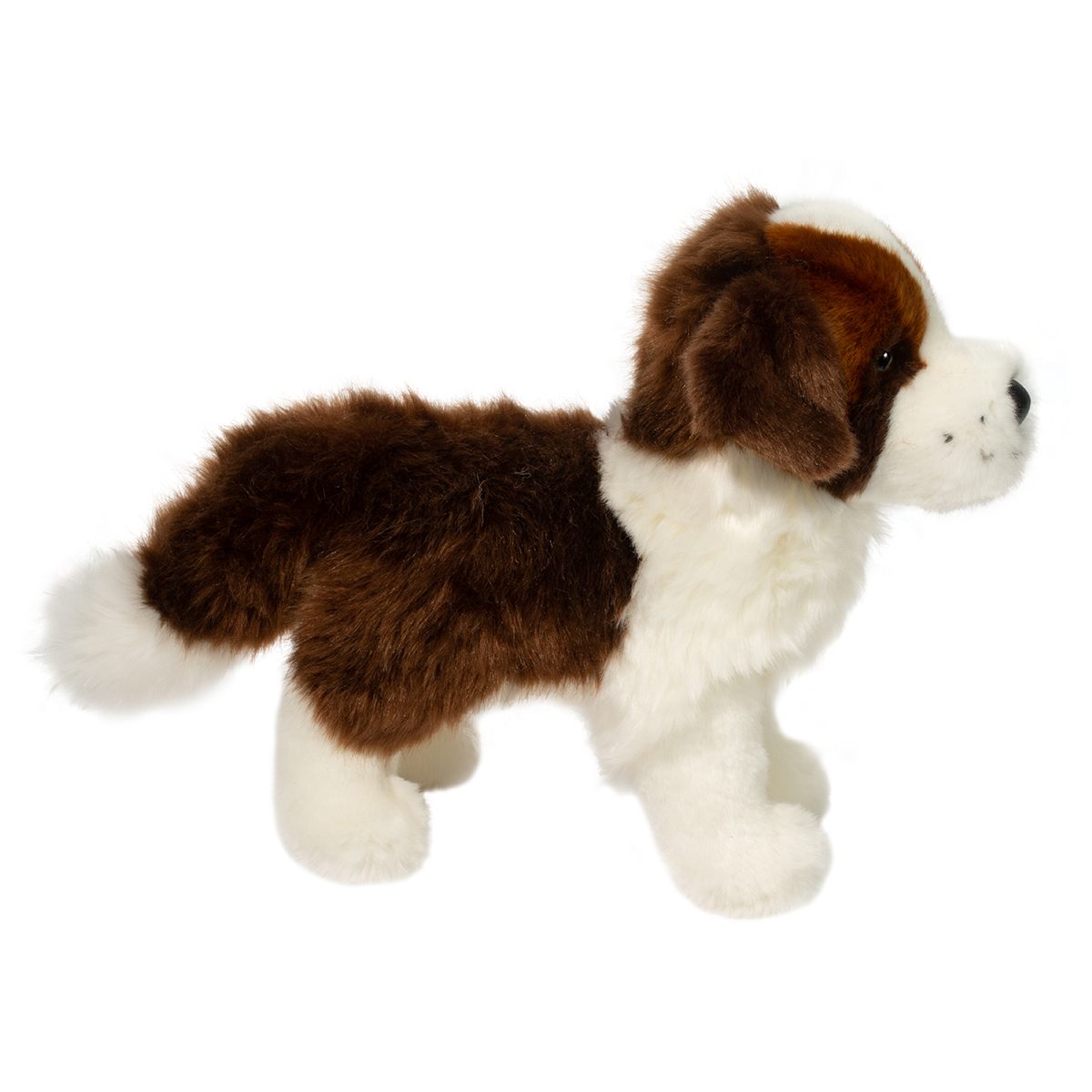Brutus St. Bernard - Raymond's Hallmark