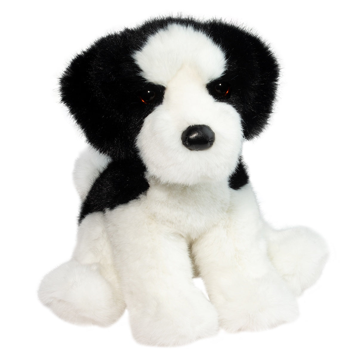 Teefer Shih Tzu - Raymond's Hallmark