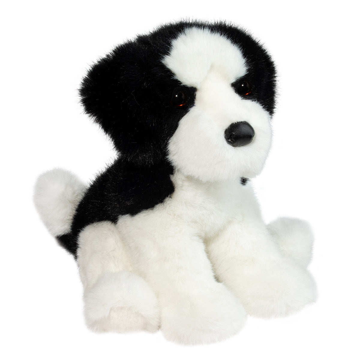 Teefer Shih Tzu - Raymond's Hallmark
