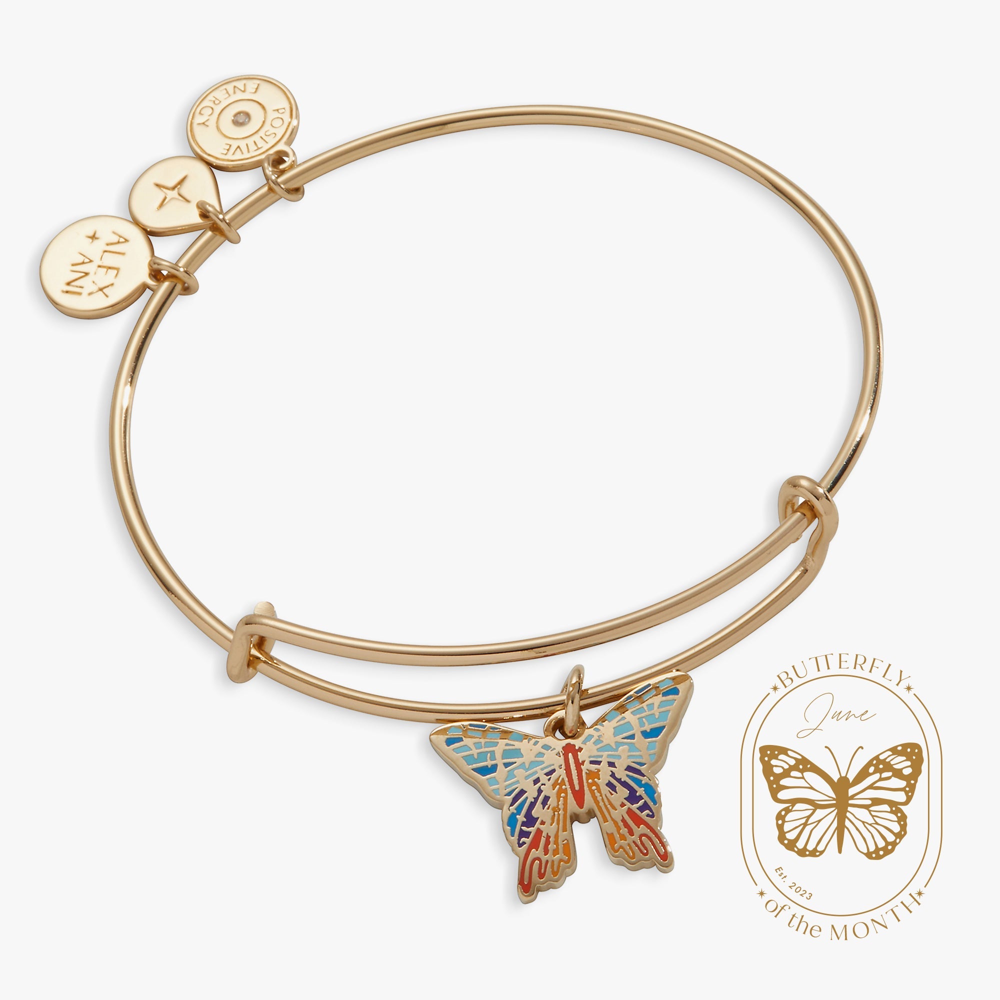 Chrysiridia Rhipheus Butterfly Gold - Raymond's Hallmark