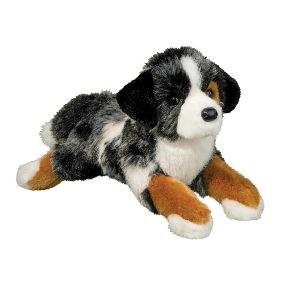 Maizie Australian Shepard - Raymond's Hallmark