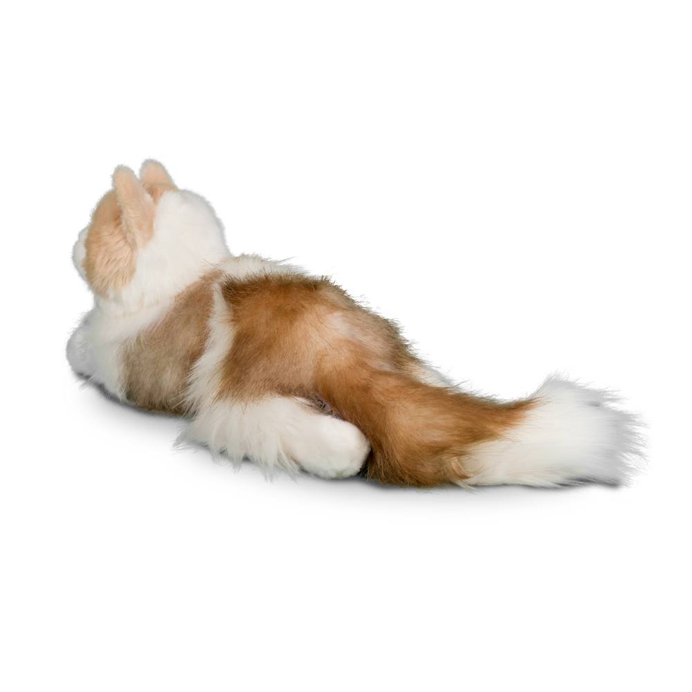 Kiki Ragdoll  Cat - Raymond's Hallmark