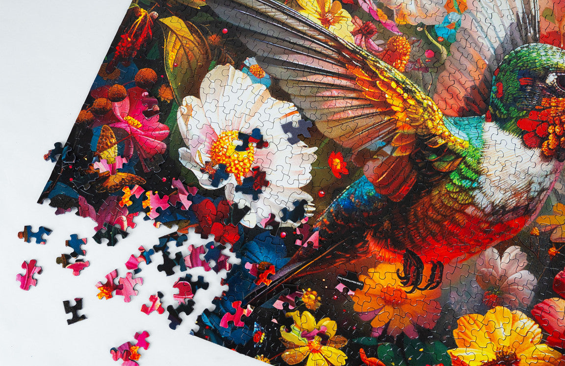 Hummingbird Dream-1,000 - Raymond's Hallmark