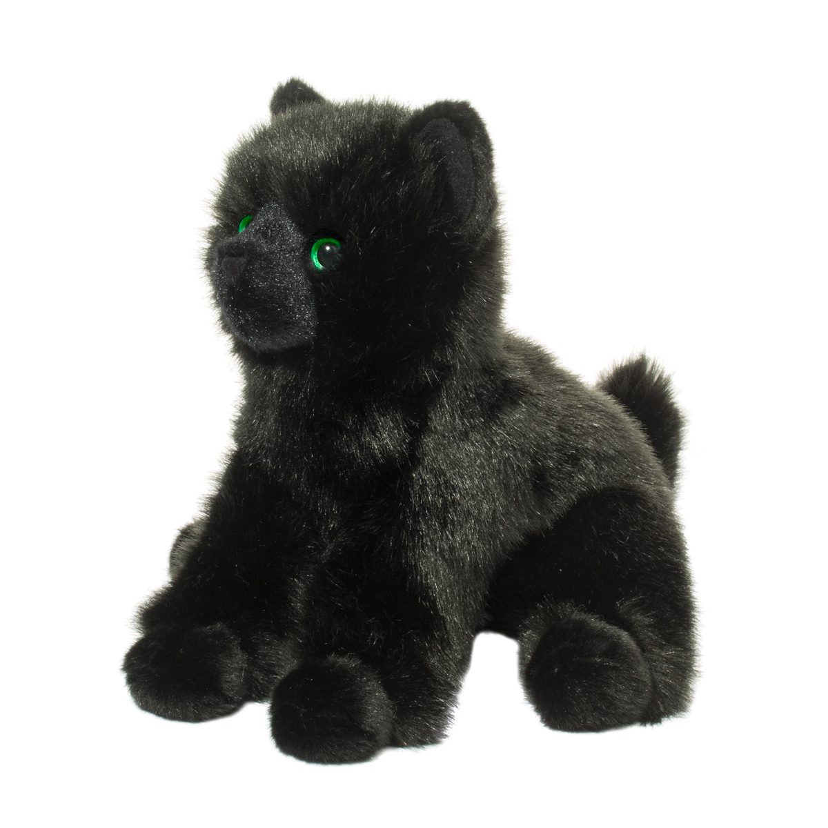 Salem Black Cat - Raymond's Hallmark