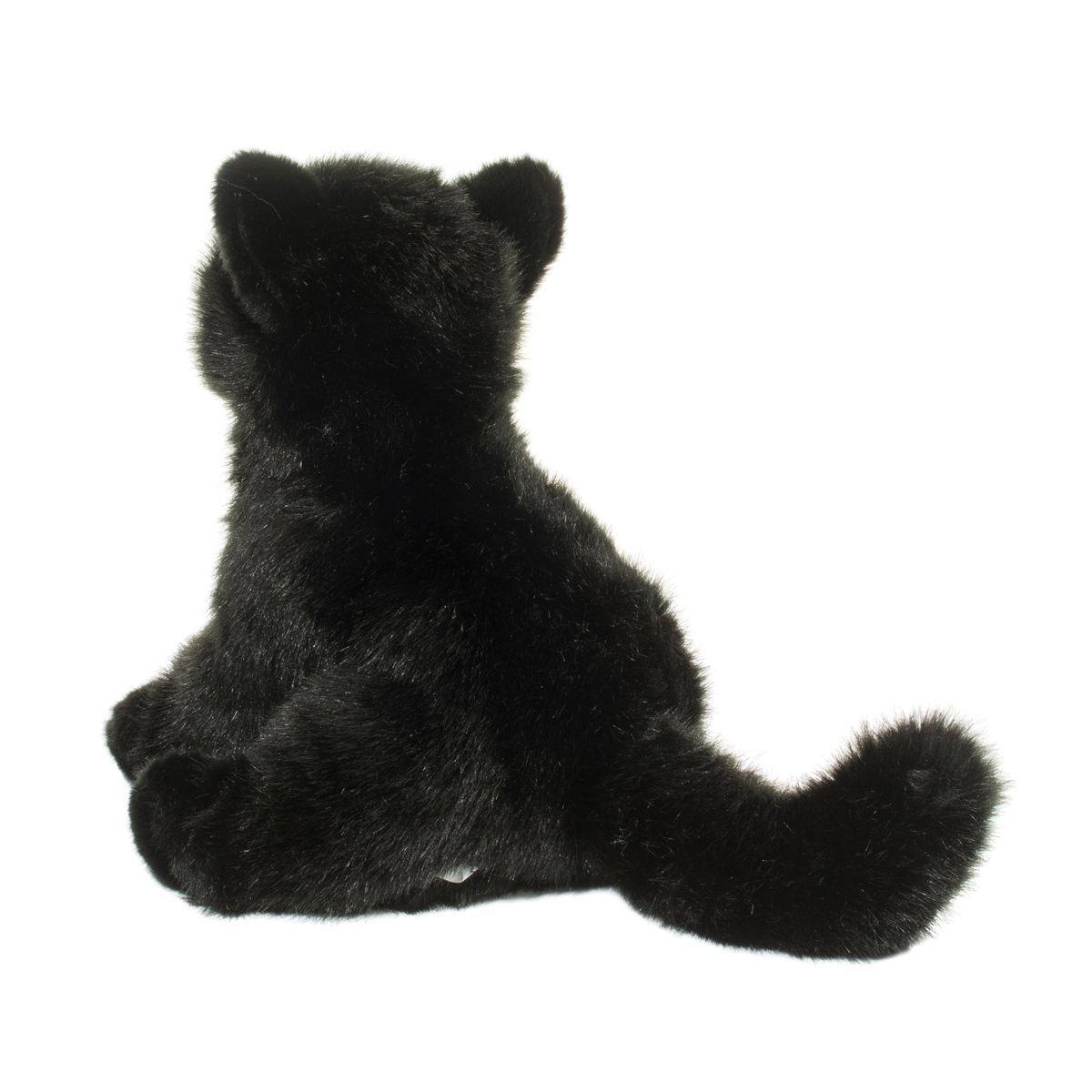 Salem Black Cat - Raymond's Hallmark