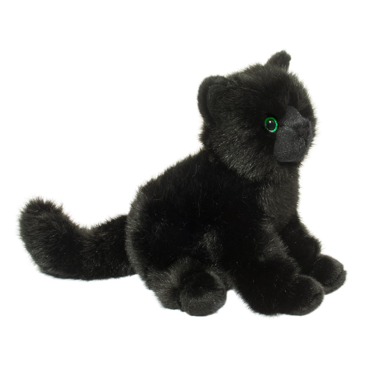 Salem Black Cat - Raymond's Hallmark