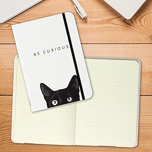 Curious Cat Journal - Raymond's Hallmark