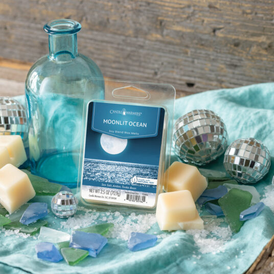 2.5oz Artisan Wax Melt ~Moonlit Ocean